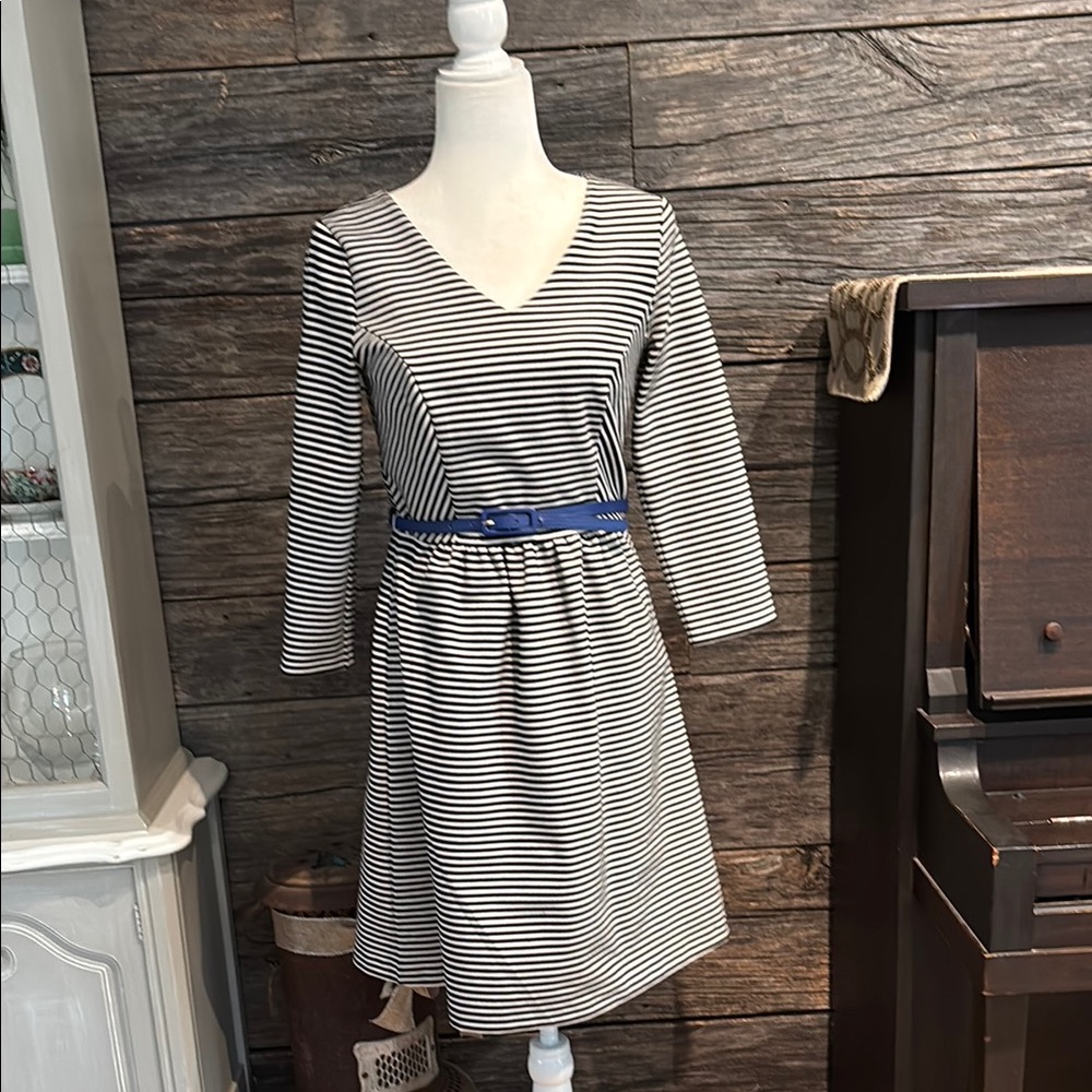 The Limited black and white striped dress with blue belt